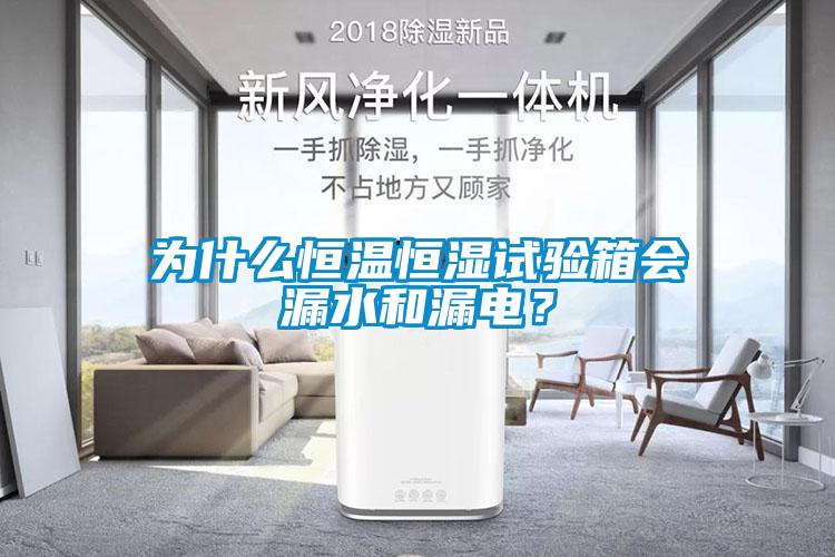 為什么恒溫恒濕試驗箱會(huì )漏水和漏電？