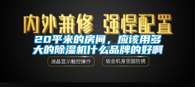 20平米的房間，應該用多大的除濕機什么品牌的好啊
