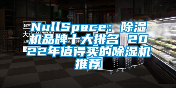 NullSpace：除濕機品牌十大排名 2022年值得買(mǎi)的除濕機推薦