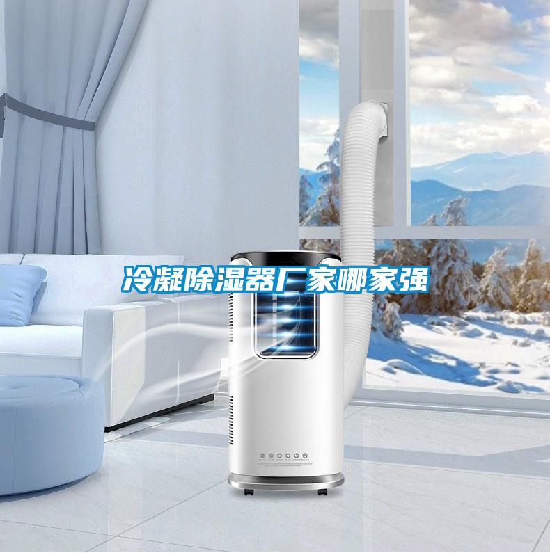冷凝除濕器廠(chǎng)家哪家強