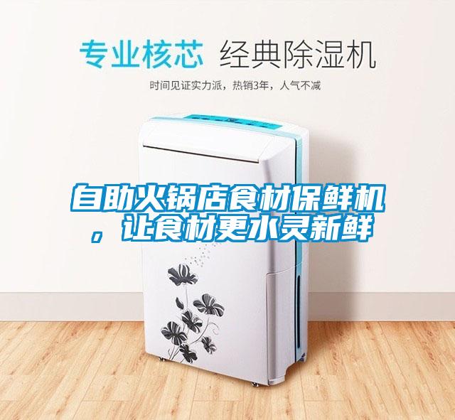 自助火鍋店食材保鮮機，讓食材更水靈新鮮