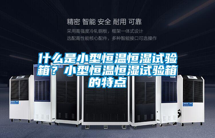 什么是小型恒溫恒濕試驗箱？小型恒溫恒濕試驗箱的特點(diǎn)