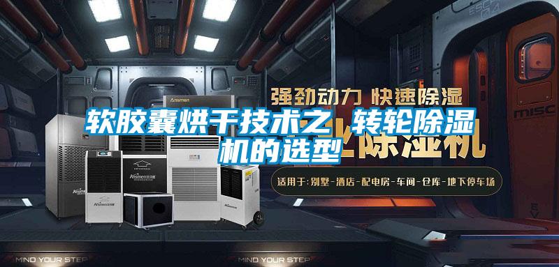 軟膠囊烘干技術(shù)之 轉輪除濕機的選型