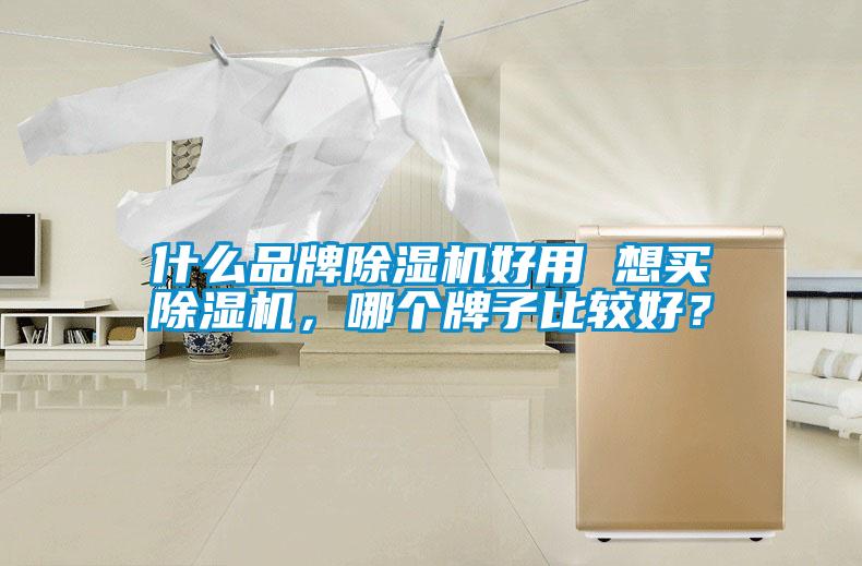 什么品牌除濕機好用 想買(mǎi)除濕機，哪個(gè)牌子比較好？