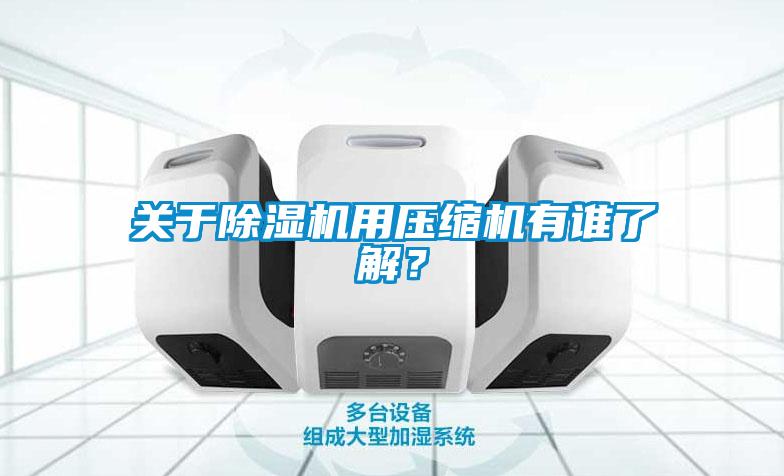 關(guān)于除濕機用壓縮機有誰(shuí)了解？