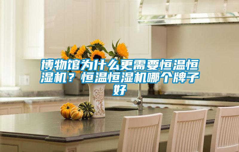 博物館為什么更需要恒溫恒濕機？恒溫恒濕機哪個(gè)牌子好