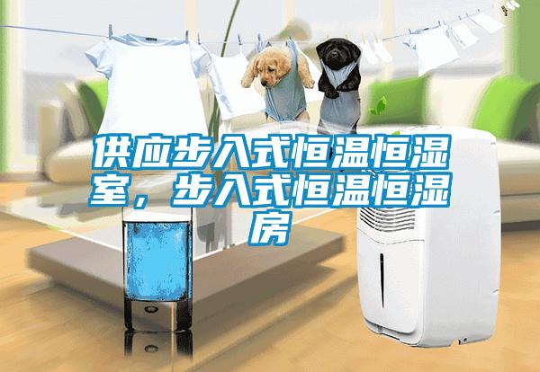 供應步入式恒溫恒濕室，步入式恒溫恒濕房