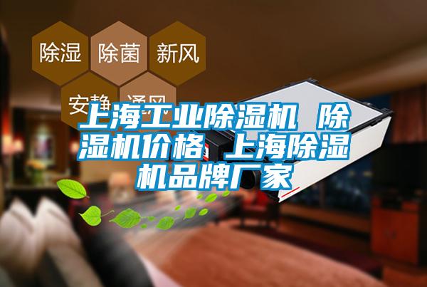 上海工業(yè)除濕機 除濕機價(jià)格 上海除濕機品牌廠(chǎng)家