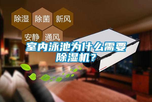 室內泳池為什么需要除濕機？