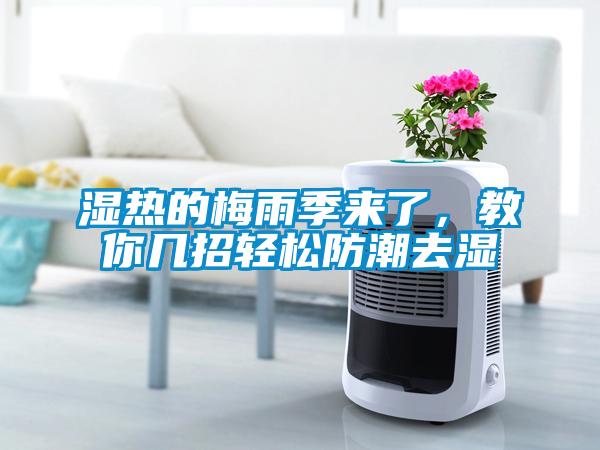 濕熱的梅雨季來(lái)了，教你幾招輕松防潮去濕