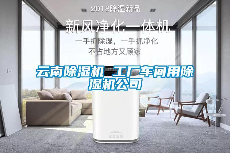 云南除濕機 工廠(chǎng)車(chē)間用除濕機公司
