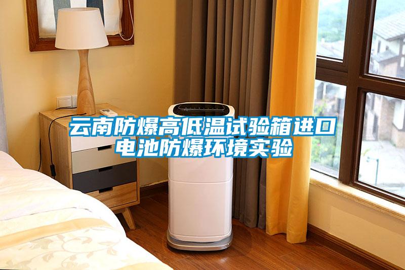 云南防爆高低溫試驗箱進(jìn)口電池防爆環(huán)境實(shí)驗