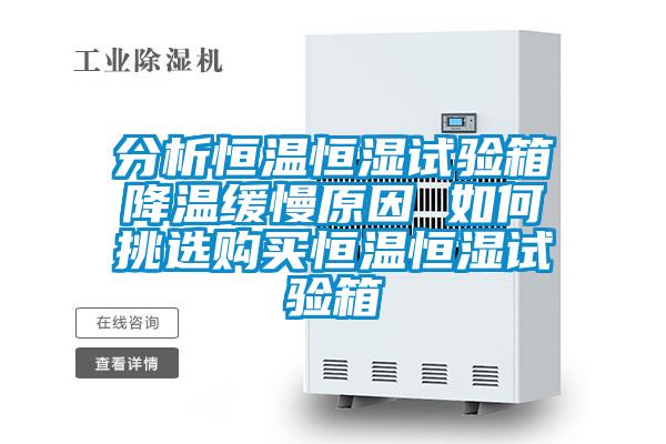 分析恒溫恒濕試驗箱降溫緩慢原因 如何挑選購買(mǎi)恒溫恒濕試驗箱