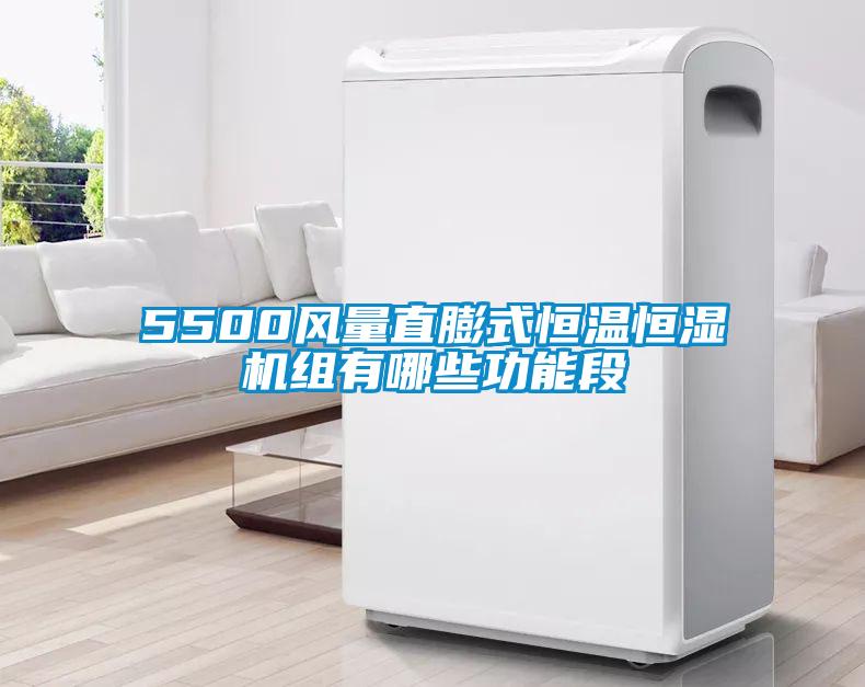 5500風(fēng)量直膨式恒溫恒濕機組有哪些功能段