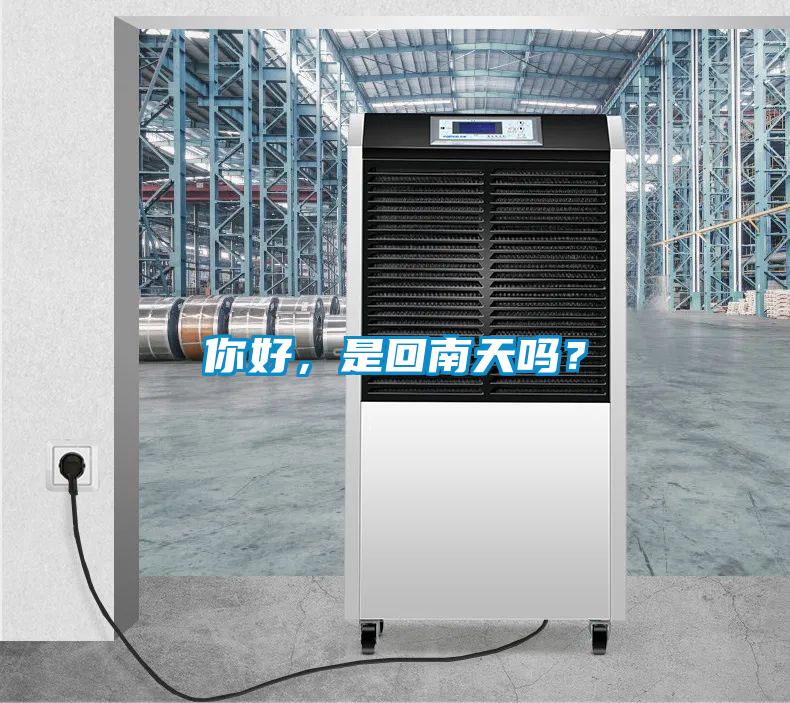 你好，是回南天嗎？