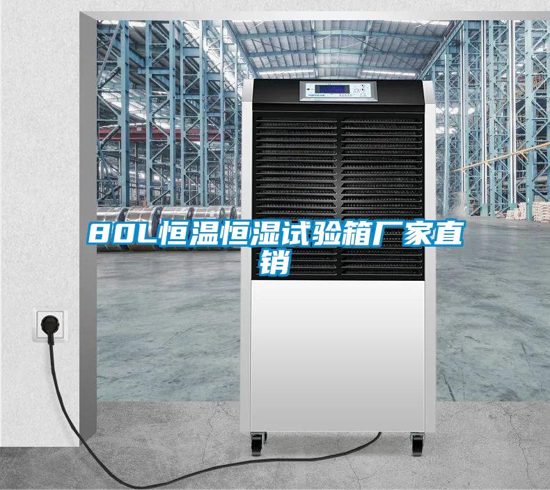 80L恒溫恒濕試驗箱廠(chǎng)家直銷(xiāo)
