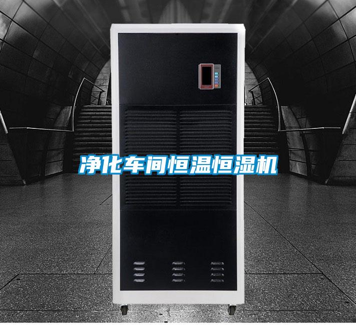 凈化車(chē)間恒溫恒濕機