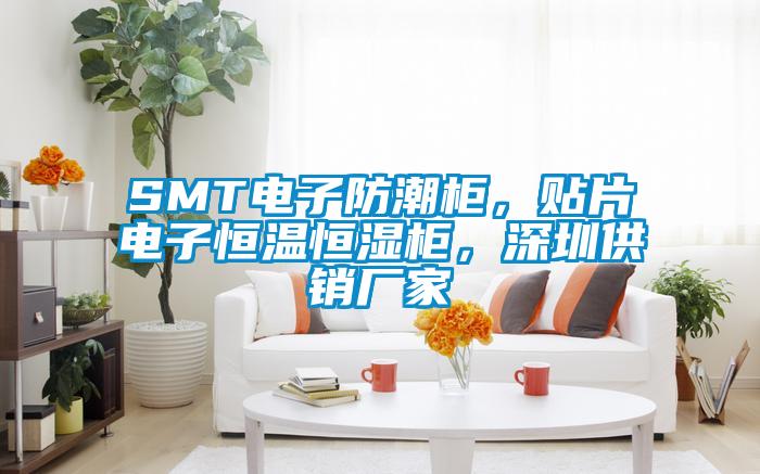 SMT電子防潮柜，貼片電子恒溫恒濕柜，深圳供銷(xiāo)廠(chǎng)家