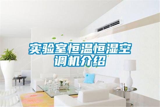 實(shí)驗室恒溫恒濕空調機介紹