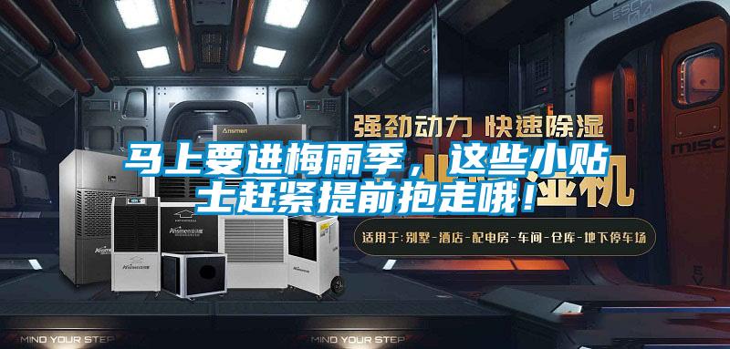 馬上要進(jìn)梅雨季，這些小貼士趕緊提前抱走哦！