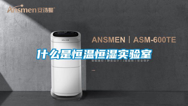 什么是恒溫恒濕實(shí)驗室