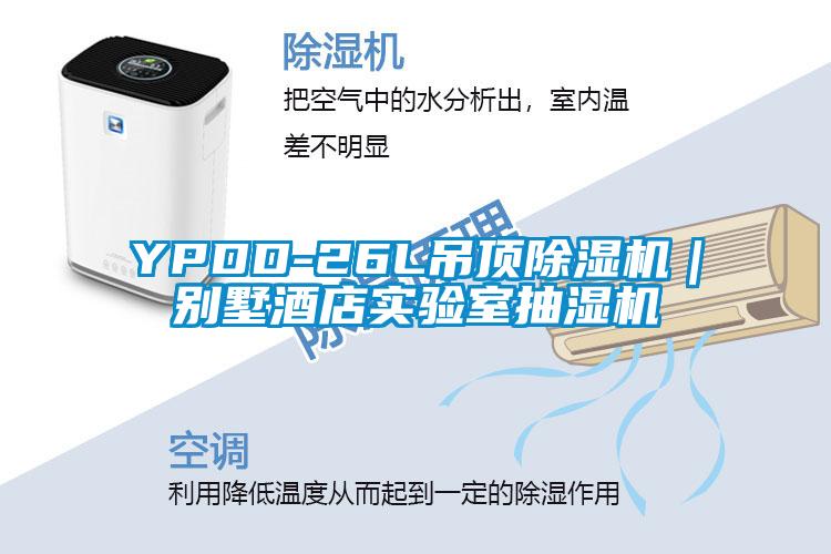 YPDD-26L吊頂除濕機｜別墅酒店實(shí)驗室抽濕機