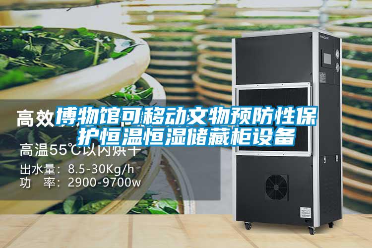 博物館可移動(dòng)文物預防性保護恒溫恒濕儲藏柜設備