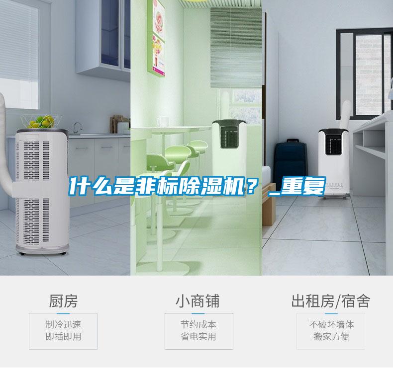 什么是非標除濕機？_重復