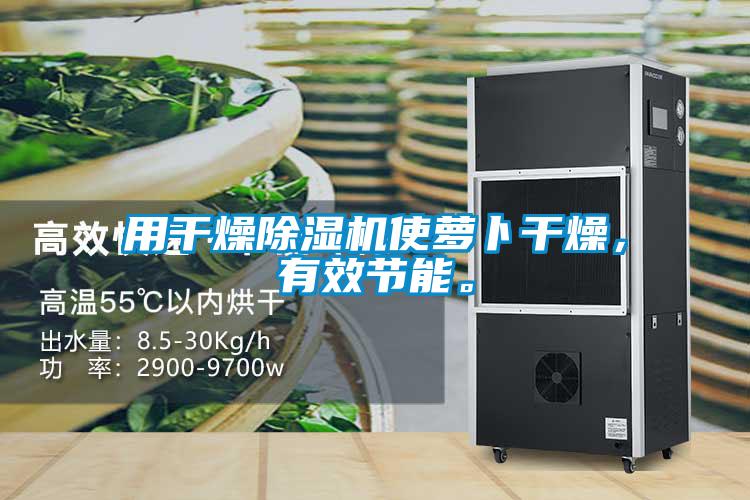 用干燥除濕機使蘿卜干燥，有效節能。