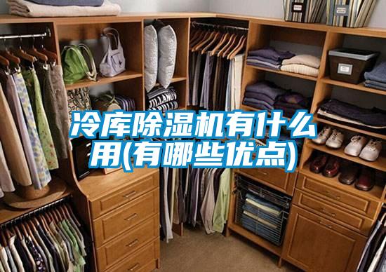 冷庫除濕機有什么用(有哪些優(yōu)點(diǎn))