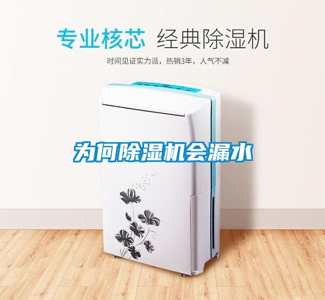 為何除濕機會(huì )漏水