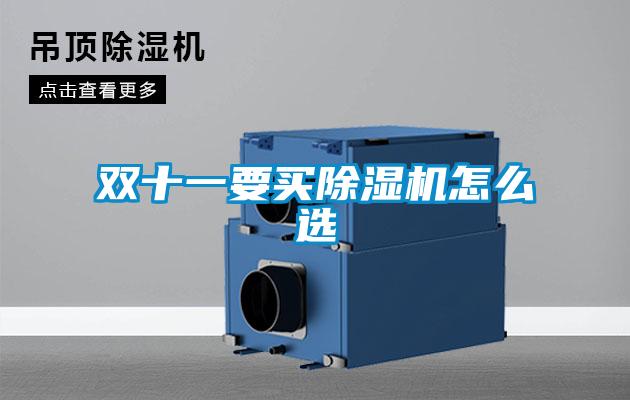 雙十一要買(mǎi)除濕機怎么選