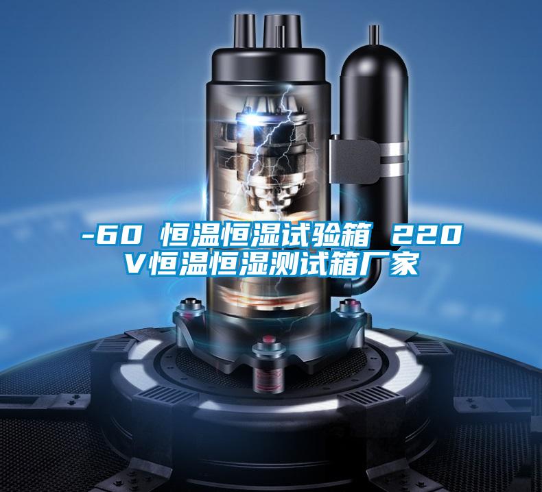 -60℃恒溫恒濕試驗箱 220V恒溫恒濕測試箱廠(chǎng)家