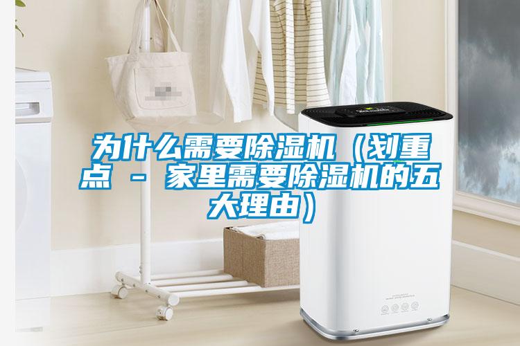 為什么需要除濕機（劃重點(diǎn) - 家里需要除濕機的五大理由）