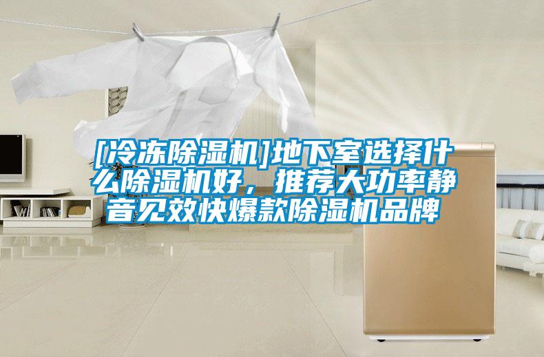 [冷凍除濕機]地下室選擇什么除濕機好，推薦大功率靜音見(jiàn)效快爆款除濕機品牌