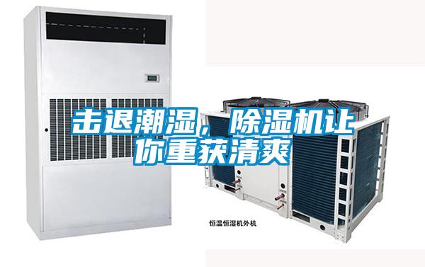 擊退潮濕，除濕機讓你重獲清爽