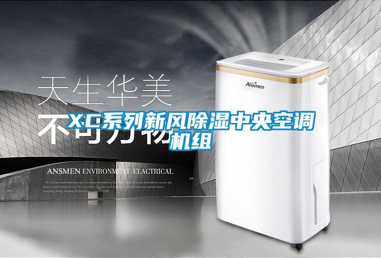 XC系列新風(fēng)除濕中央空調機組