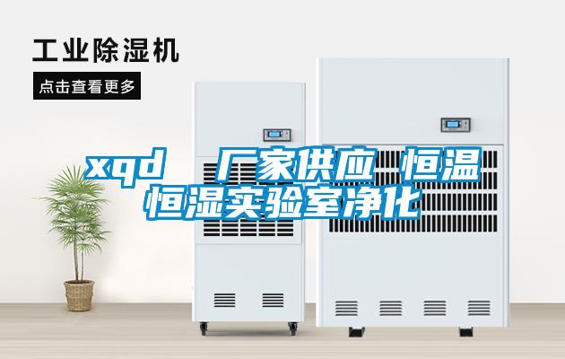 xqd  廠(chǎng)家供應 恒溫恒濕實(shí)驗室凈化