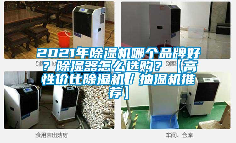 2021年除濕機哪個(gè)品牌好？除濕器怎么選購？【高性?xún)r(jià)比除濕機／抽濕機推薦】