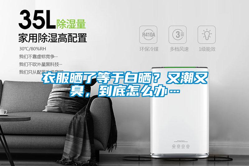 衣服曬了等于白曬？又潮又臭，到底怎么辦…