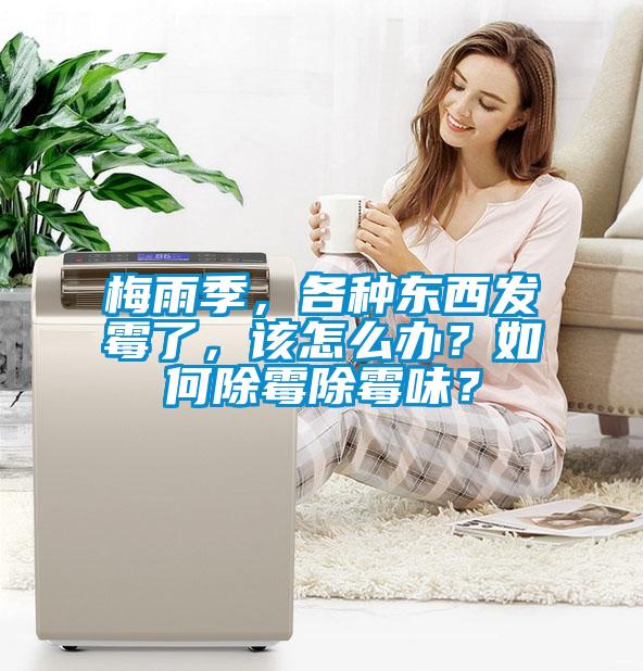 梅雨季，各種東西發(fā)霉了，該怎么辦？如何除霉除霉味？