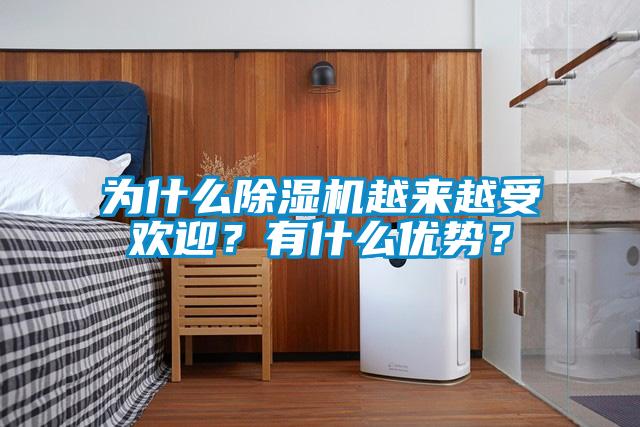 為什么除濕機越來(lái)越受歡迎？有什么優(yōu)勢？