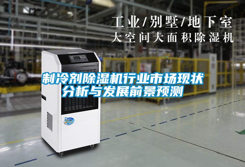制冷劑除濕機行業(yè)市場(chǎng)現狀分析與發(fā)展前景預測