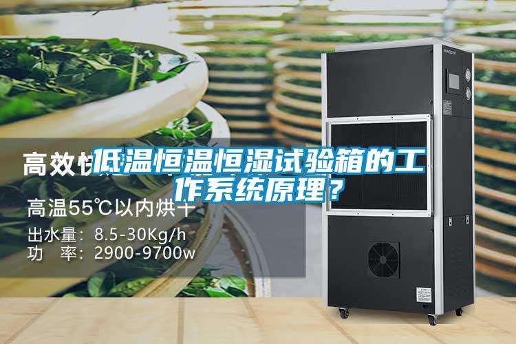 低溫恒溫恒濕試驗箱的工作系統原理？
