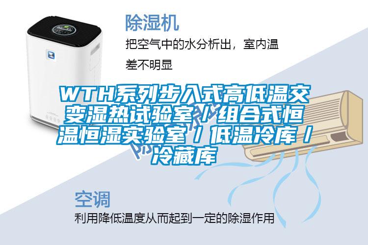 WTH系列步入式高低溫交變濕熱試驗室／組合式恒溫恒濕實(shí)驗室／低溫冷庫／冷藏庫