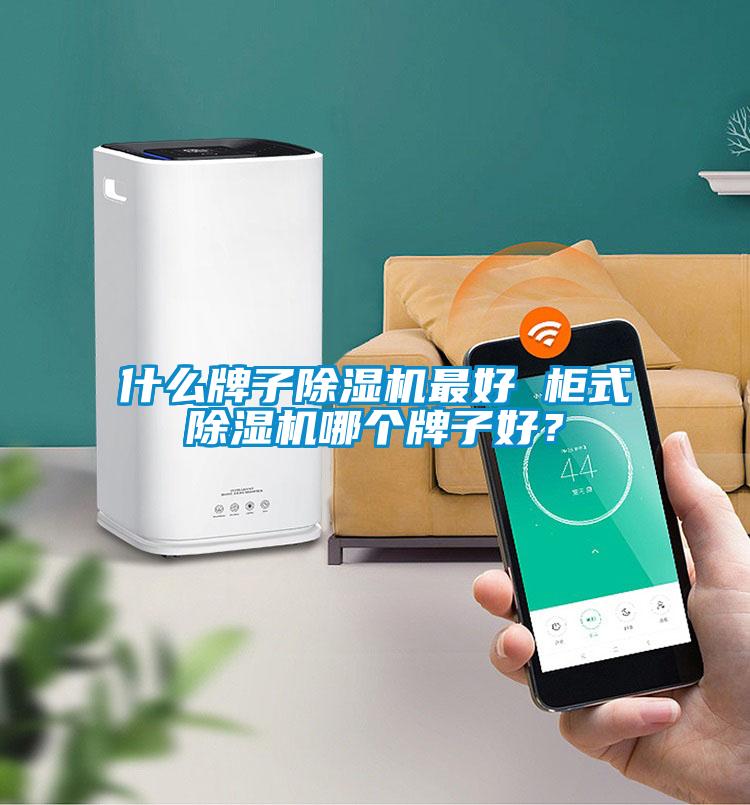 什么牌子除濕機最好 柜式除濕機哪個(gè)牌子好？