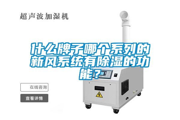 什么牌子哪個(gè)系列的新風(fēng)系統有除濕的功能？
