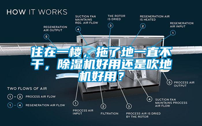 住在一樓，拖了地一直不干，除濕機好用還是吹地機好用？