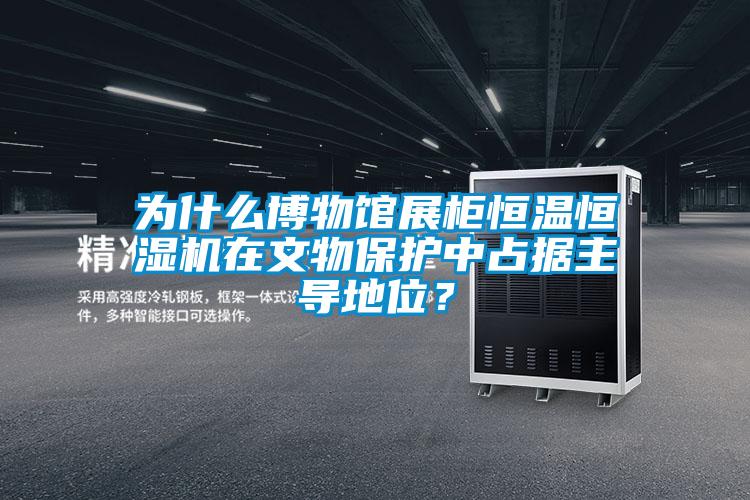 為什么博物館展柜恒溫恒濕機在文物保護中占據主導地位？