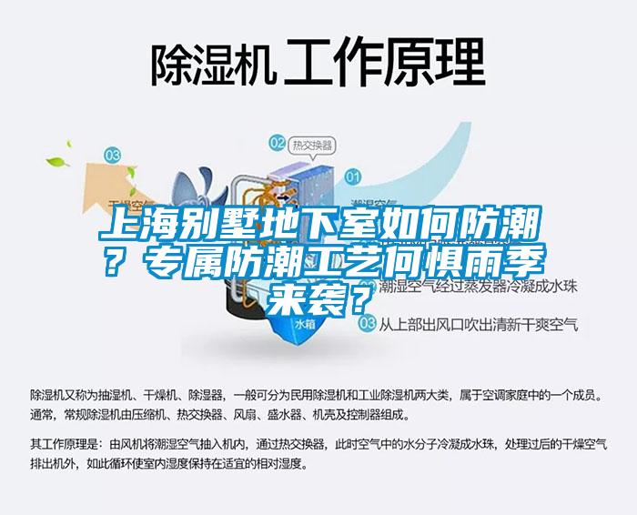 上海別墅地下室如何防潮？專(zhuān)屬防潮工藝何懼雨季來(lái)襲？
